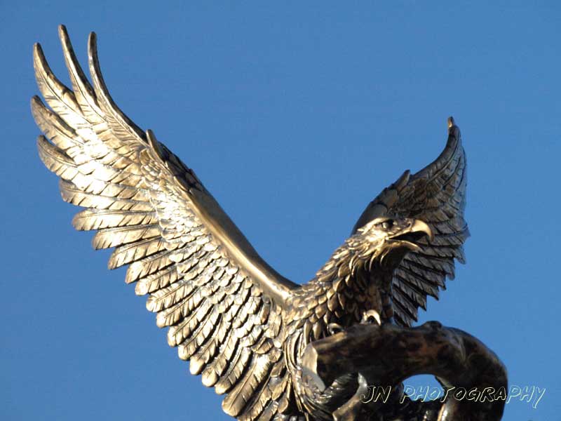 Flying